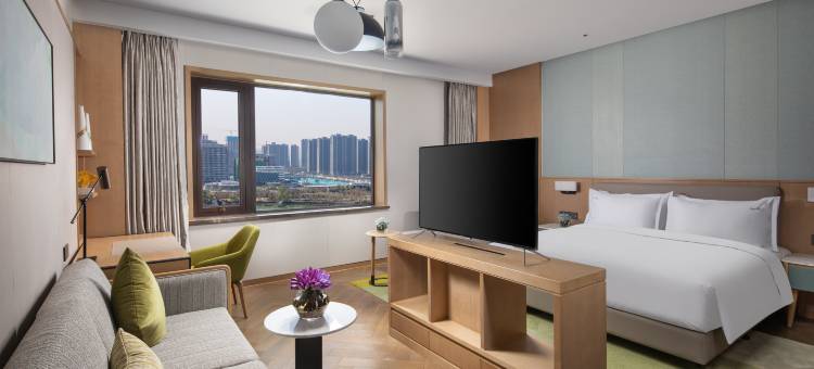 郑州高新假日酒店图片