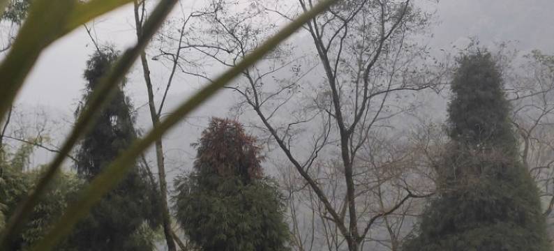 罗幺妹儿客栈(峨洪路分店)图片