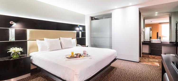 瑞佛玛埃克城市酒店(Exe Cities Reforma)图片