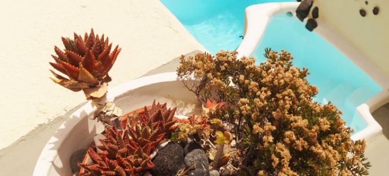 苔穆卓普思圣托里尼别墅(Timedrops Santorini Villas)图片