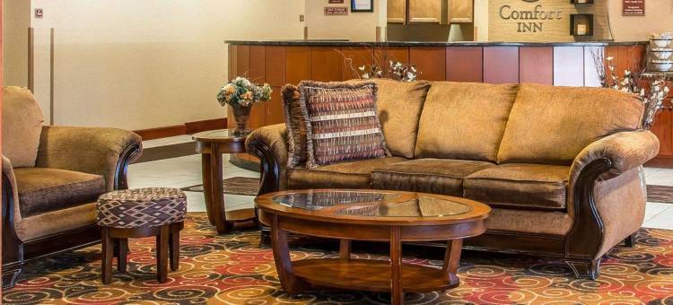 洲际 I94 号附近凯艺酒店(Quality Inn Near Interstate I94)图片