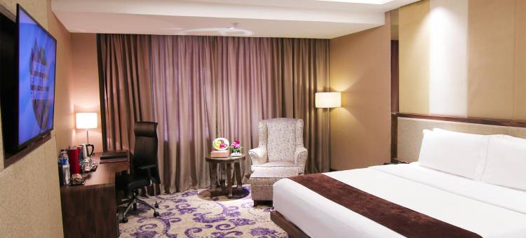 阿里斯塔帕拉姆邦酒店(The Arista Hotel Palembang)图片