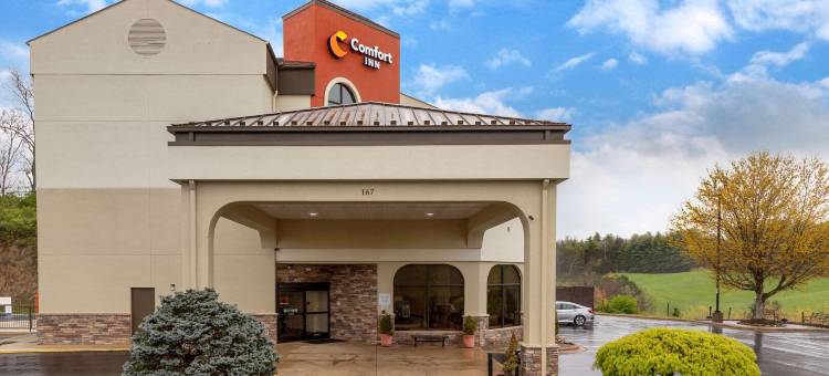 阿什维尔北部舒适酒店(Comfort Inn North of Asheville)图片
