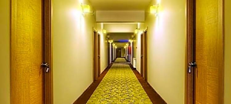 柴可兹考商务酒店(Cerkezkoy Business Hotel)图片