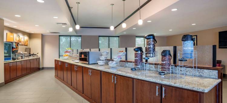 莫比尔舒适全套房酒店(Comfort Suites Mobile West/Tillmans Corner)图片