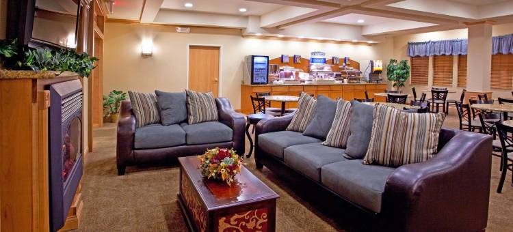 智选假日套房酒店切斯特菲尔德 - 塞尔弗里奇区(Holiday Inn Express & Suites Chesterfield - Selfridge Area)图片