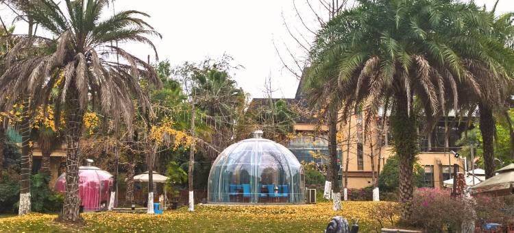 栖心姐公寓(观岭大道分店)图片