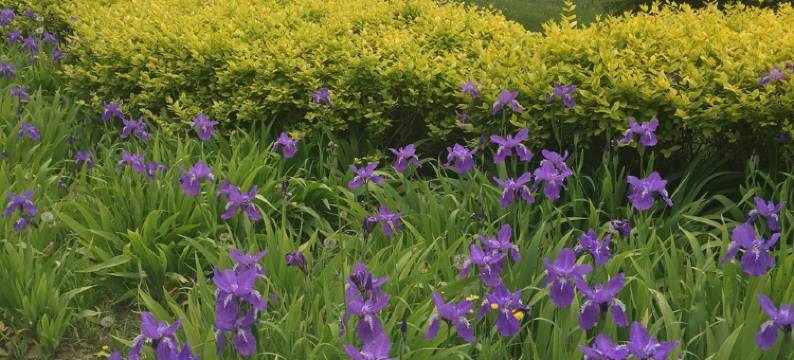 麦肯提轻居民宿(龙城南街分店)图片