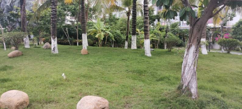 陶陶和米粒公寓(九龙大道分店)图片