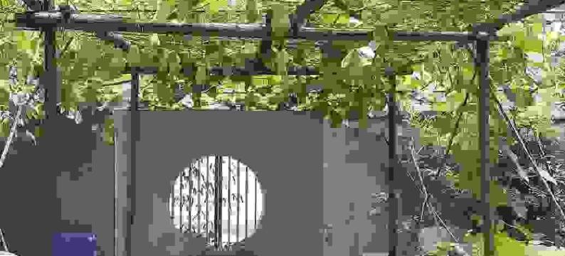 普者黑陋室名屋客栈图片