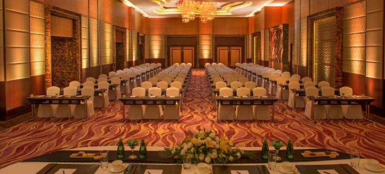 印多尔丽笙酒店(Radisson Blu Hotel, Indore)图片