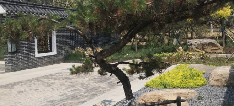 美的民宿(永济西路分店)图片