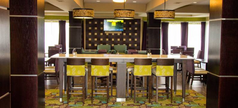 智选假日套房酒店塞克斯顿(Holiday Inn Express & Suites SIKESTON by IHG)图片