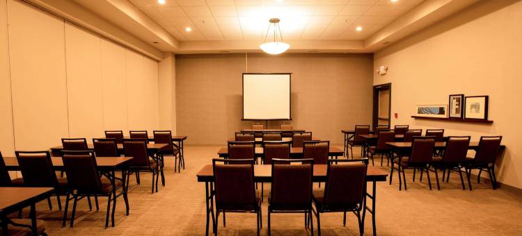 威尔逊丽怡酒店(Country Inn & Suites by Radisson, Wilson, NC)图片