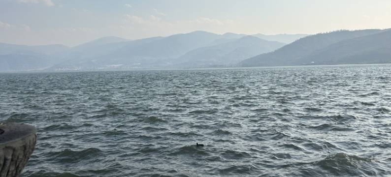 西昌风晴民宿(邛海湿地店)图片