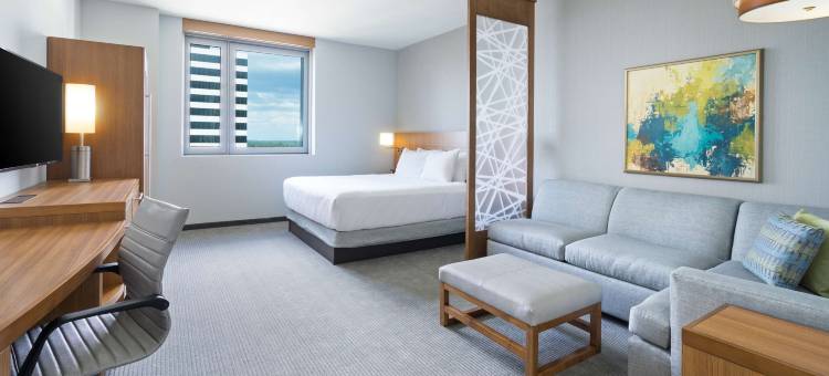 圣彼德斯堡市中心凯悦嘉轩酒店(Hyatt Place St Petersburg/Downtown)图片