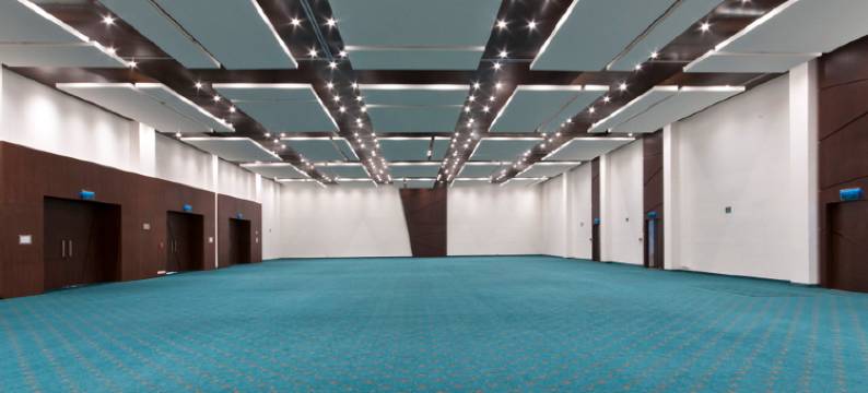 韦拉克鲁斯-博卡德尔里奥假日酒店(Holiday Inn VERACRUZ BOCA DEL RIO by IHG)图片