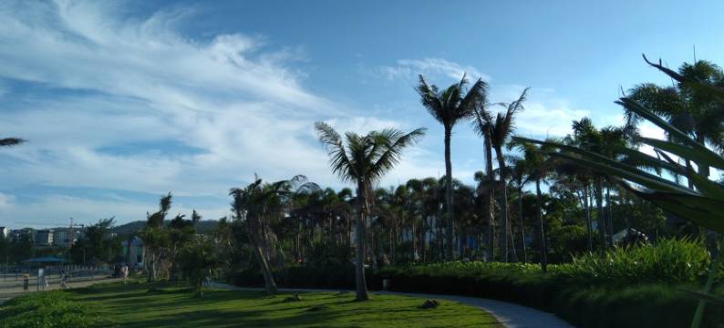 碧海阳光公寓(观海路分店)图片