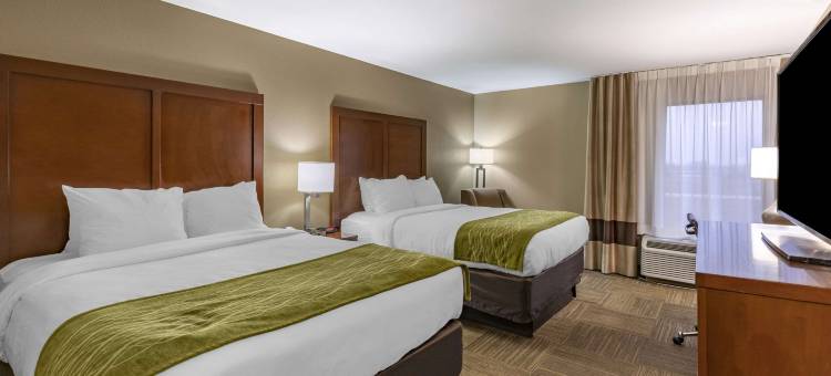 柯林斯威尔舒适酒店 - 近圣路易斯(Comfort Inn Collinsville Near St Louis)图片