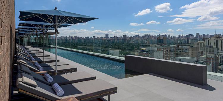 法萨诺索·保罗伊泰慕酒店(Hotel Fasano Sao Paulo Itaim)图片