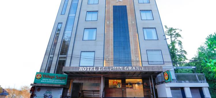 大翔酒店(Hotel Dolphin Grand)图片