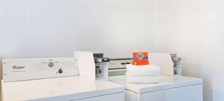 列克星敦公园-加利福尼亚地区温德姆速8酒店(Super 8 by Wyndham Lexington Park/California Area)图片