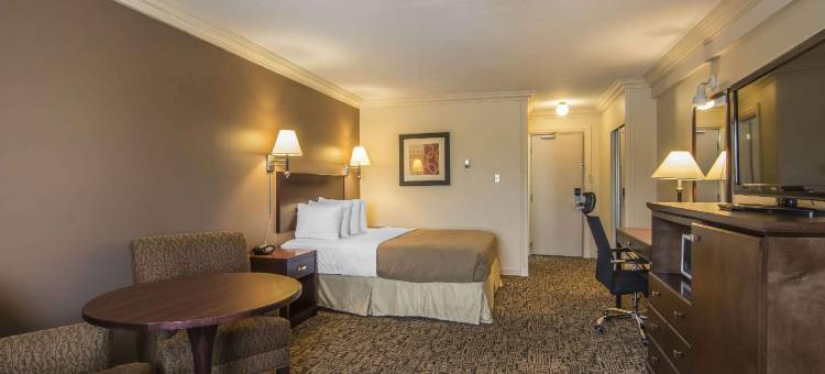 海莱科尔品质套房酒店(Quality Inn & Suites)图片