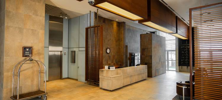 希尔顿花园酒店-圣地亚哥机场(Hilton Garden Inn Santiago - Airport)图片