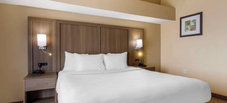 达拉斯沃思堡国际机场舒适套房酒店(Comfort Suites DFW Airport)图片