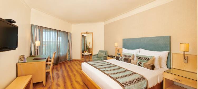 纳格浦尔傲世酒店(The Pride Hotel, Nagpur)图片