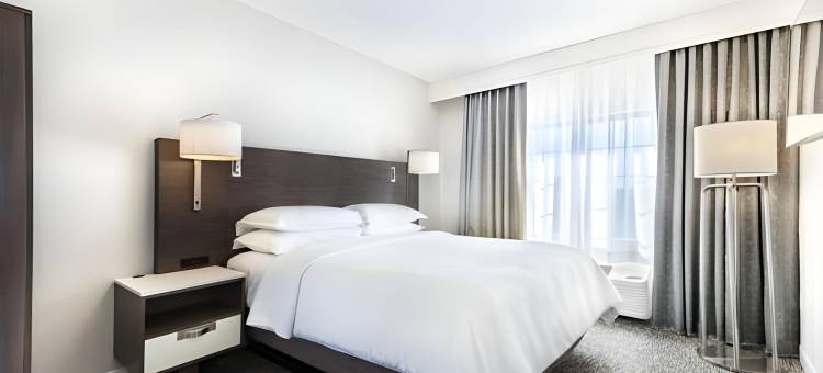 杰克逊维尔喜来登酒店(Sheraton Jacksonville Hotel)图片