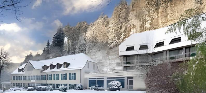 贝得苏博万酒店(Waldhotel Bad Sulzburg)图片