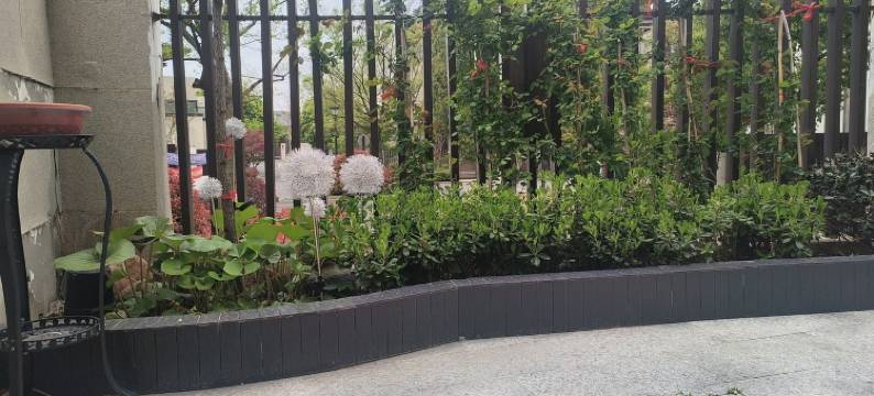 四季草堂度假别墅(访仙路分店)图片