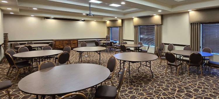 舒适套房酒店(Comfort Inn & Suites)图片