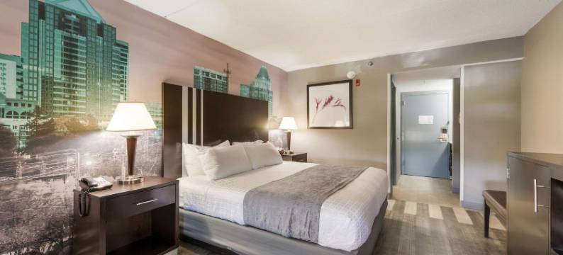 格林斯伯勒机场克拉丽奥波茵特酒店(Clarion Pointe Greensboro Airport)图片