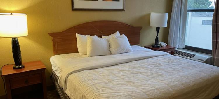 品质套房酒店(Quality Inn & Suites)图片