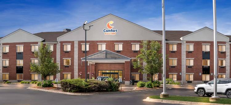 南菲尔德/底特律舒适套房酒店(Comfort Suites Southfield-Detroit)图片