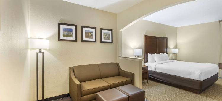 梅里典舒适酒店(Comfort Inn)图片