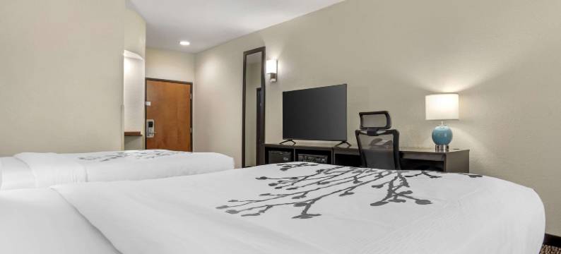 蒙哥马利东I-85东舒眠套房酒店(Sleep Inn & Suites Montgomery East I-85)图片
