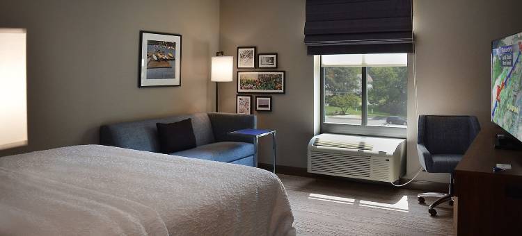 费城米迪尔希尔顿欢朋套房酒店(Hampton Inn & Suites Philadelphia/Media)图片