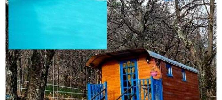 Gite la Bleuet Avec Piscine图片