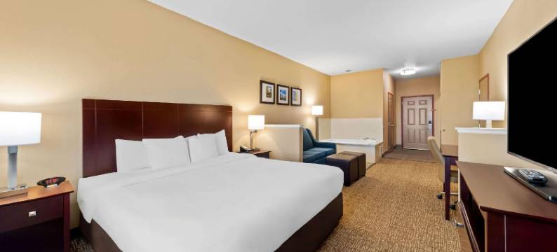 罗阿诺克-北沃斯堡舒适全套房酒店(Comfort Suites Roanoke - Fort Worth North)图片