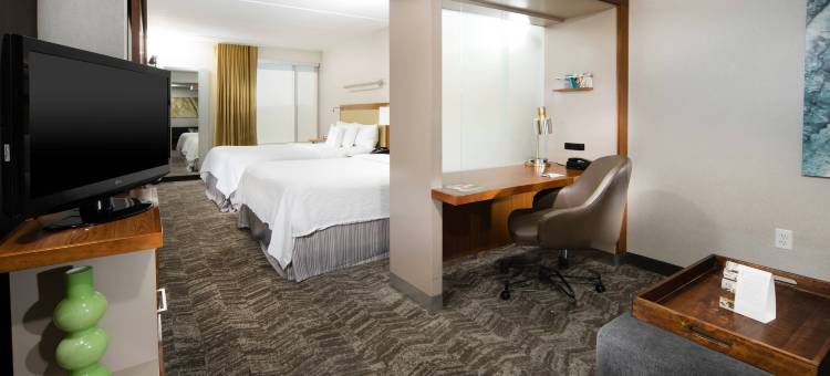 费城福吉谷/普鲁士王购物中心万豪SpringHill酒店(SpringHill Suites Philadelphia Valley Forge/King of Prussia)图片