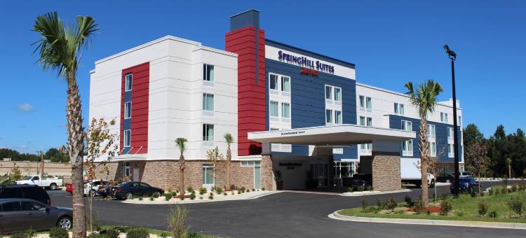 萨姆特万豪SpringHill酒店(SpringHill Suites Sumter)图片
