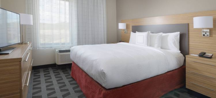 丹佛南/隆特利TownePlace套房酒店(TownePlace Suites Denver South/Lone Tree)图片