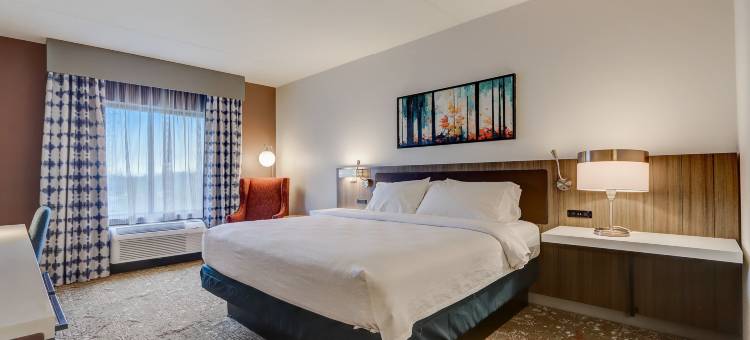 希尔顿花园印第安纳波利斯西北酒店(Hilton Garden Inn Indianapolis Northwest)图片