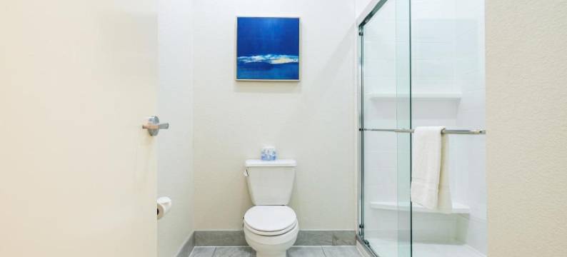 蓝宫酒店东IAH(Palace Inn Blue IAH East)图片