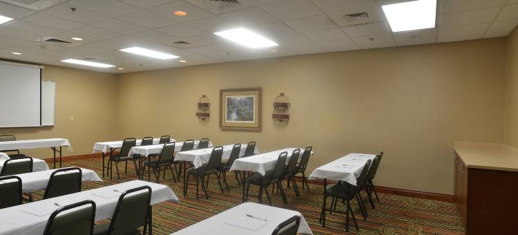 斯普林菲尔德欢朋套房酒店(Hampton Inn & Suites Springfield)图片