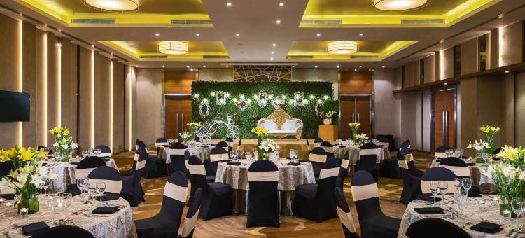 艾哈迈达巴德万丽酒店(Renaissance Ahmedabad Hotel)图片