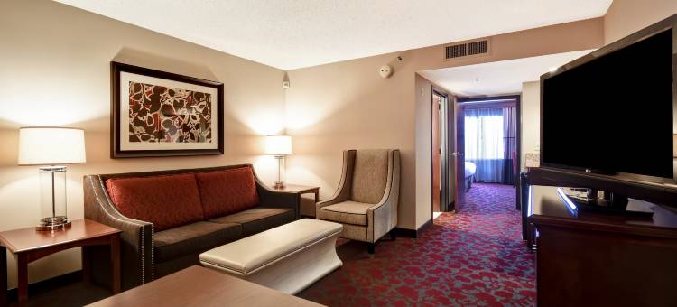 杜勒斯机场希尔顿安泊套房酒店(Embassy Suites by Hilton Dulles Airport)图片
